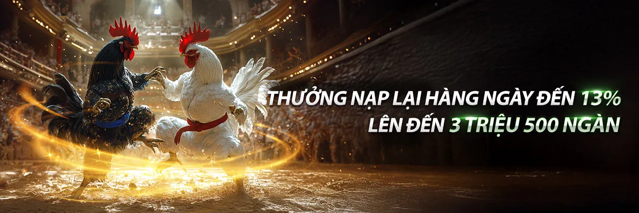 Sân vận động bóng đá sôi động, cá cược thể thao 55vin xổ số